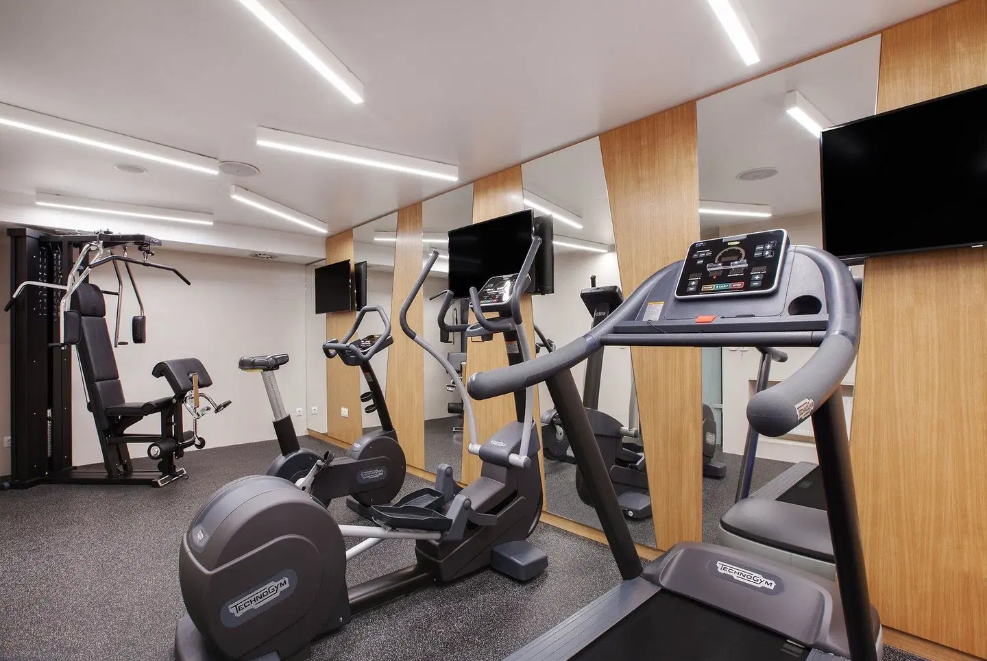 Holiday Inn Dresden - Am Zwinger by IHG SPORTS_AND_LEISURE