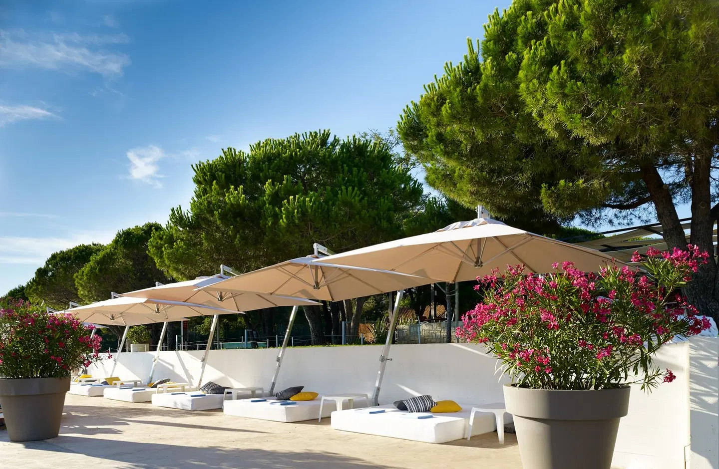 Park Plaza Belvedere BEACH