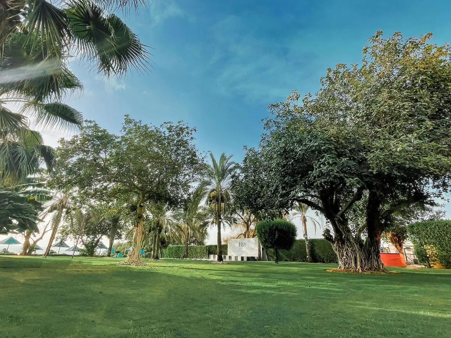 BM Beach Hotel Garten