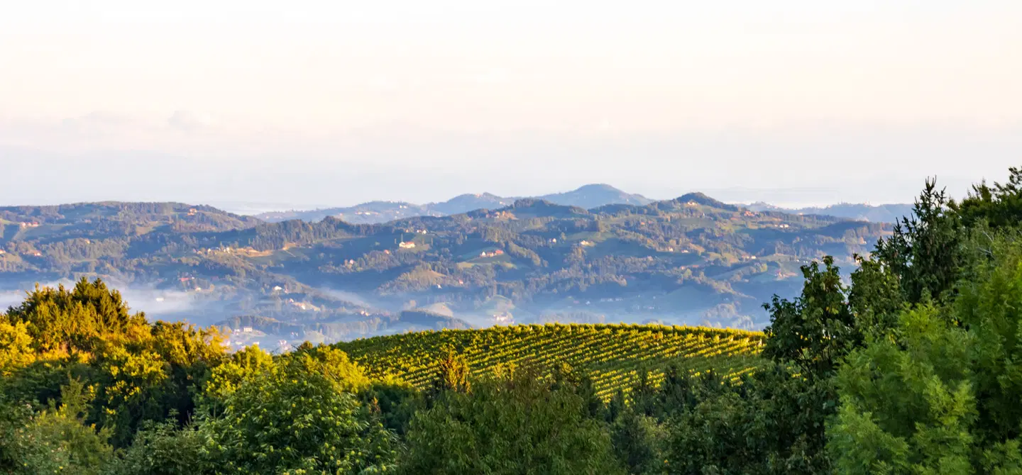 Landhotel am Gut Moser LANDSCAPE