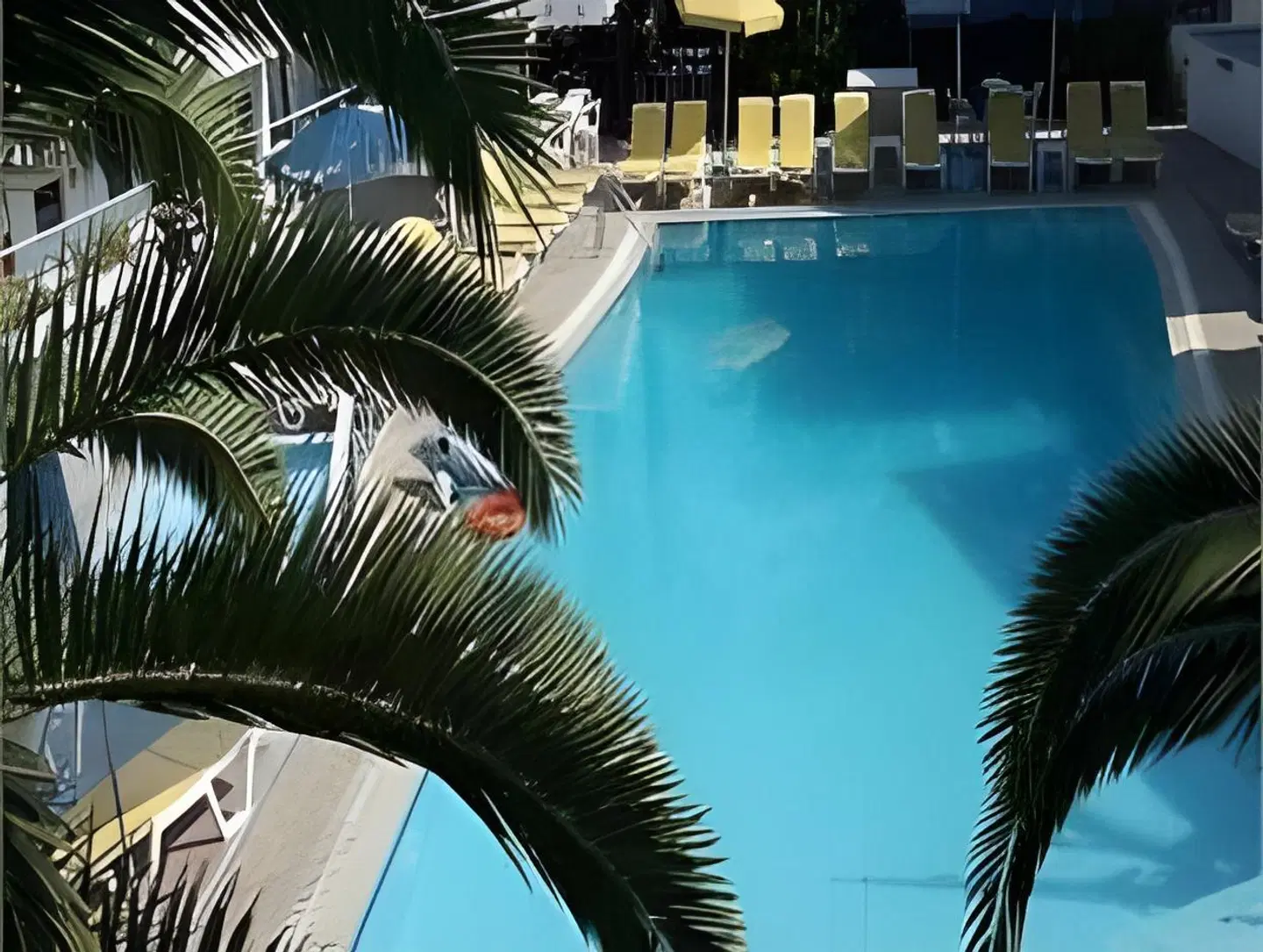 Yiannis Yard Studios & Apartments OUTDOOR_POOL