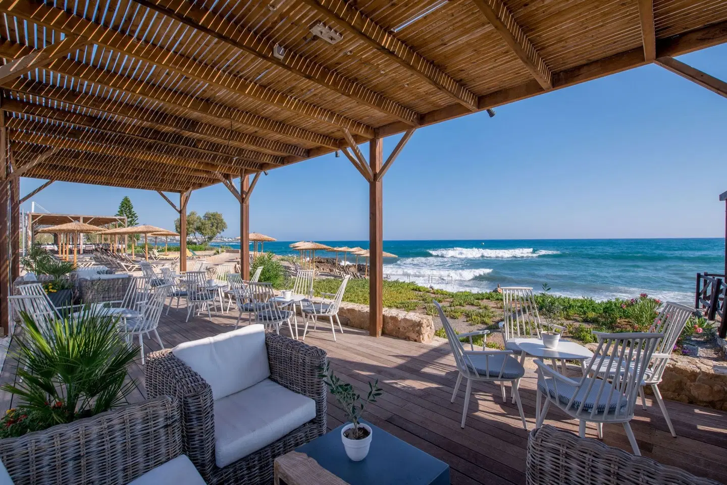 Cactus Bay Terrasse