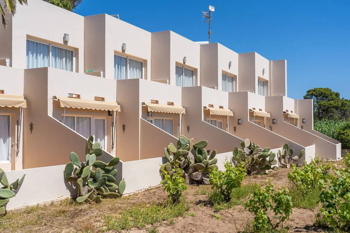 Marcelino EXTERIOR