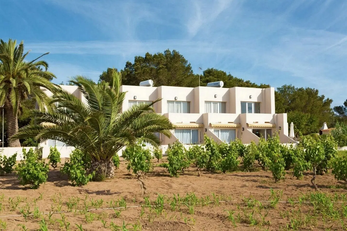 Marcelino EXTERIOR