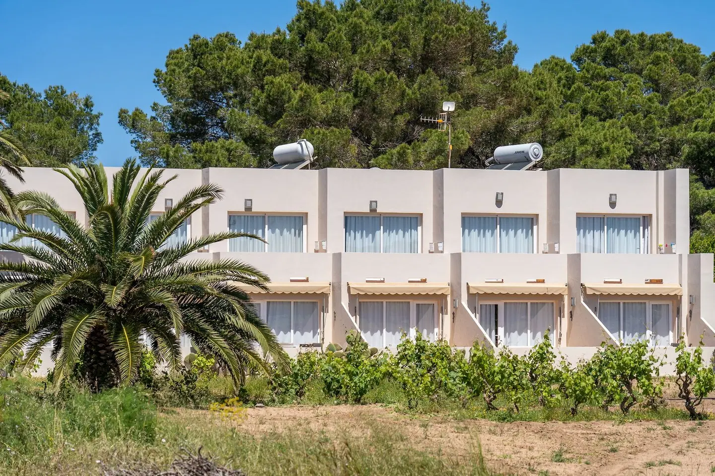 Marcelino EXTERIOR