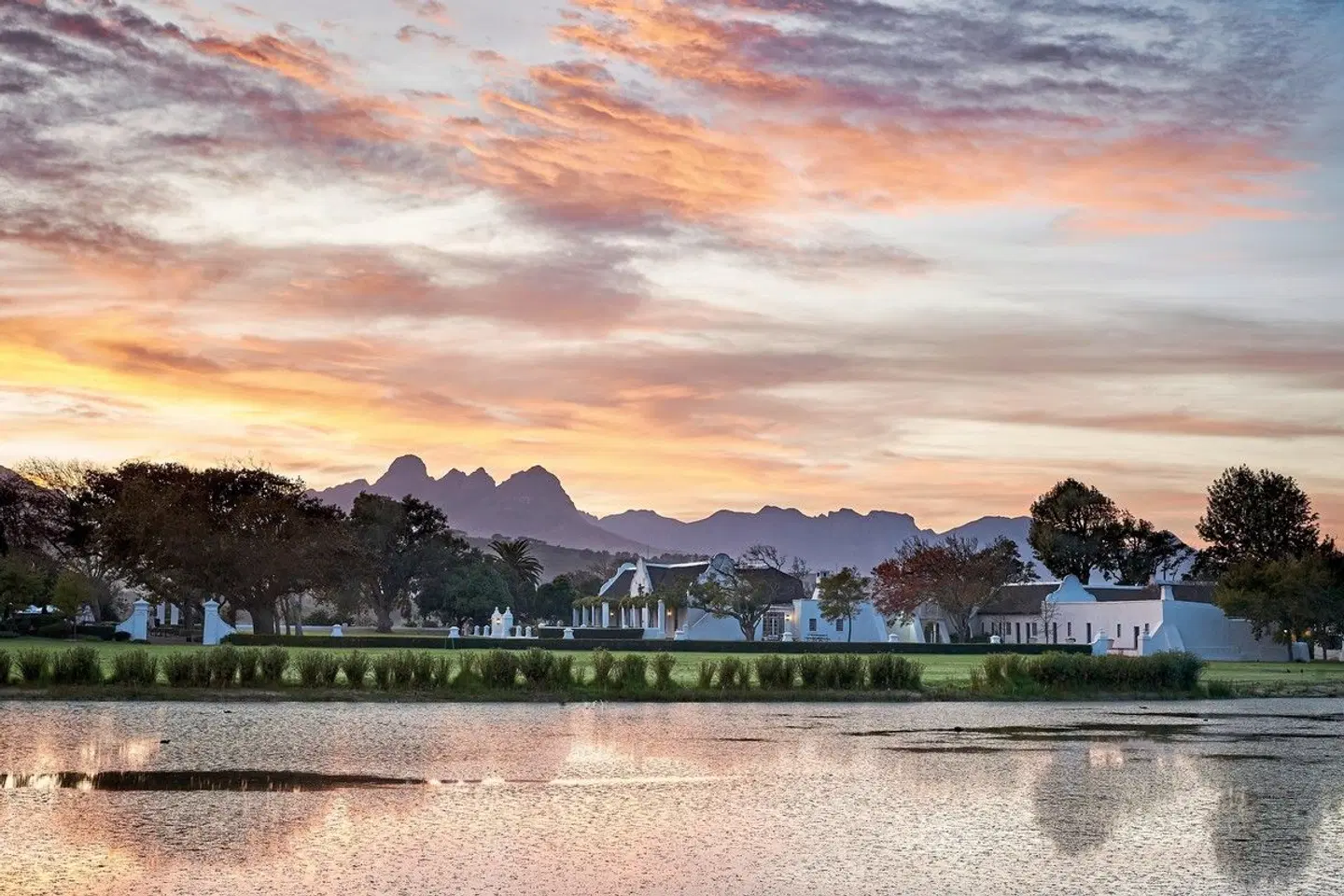 Vergenoegd Loew The Wine Estate Strand