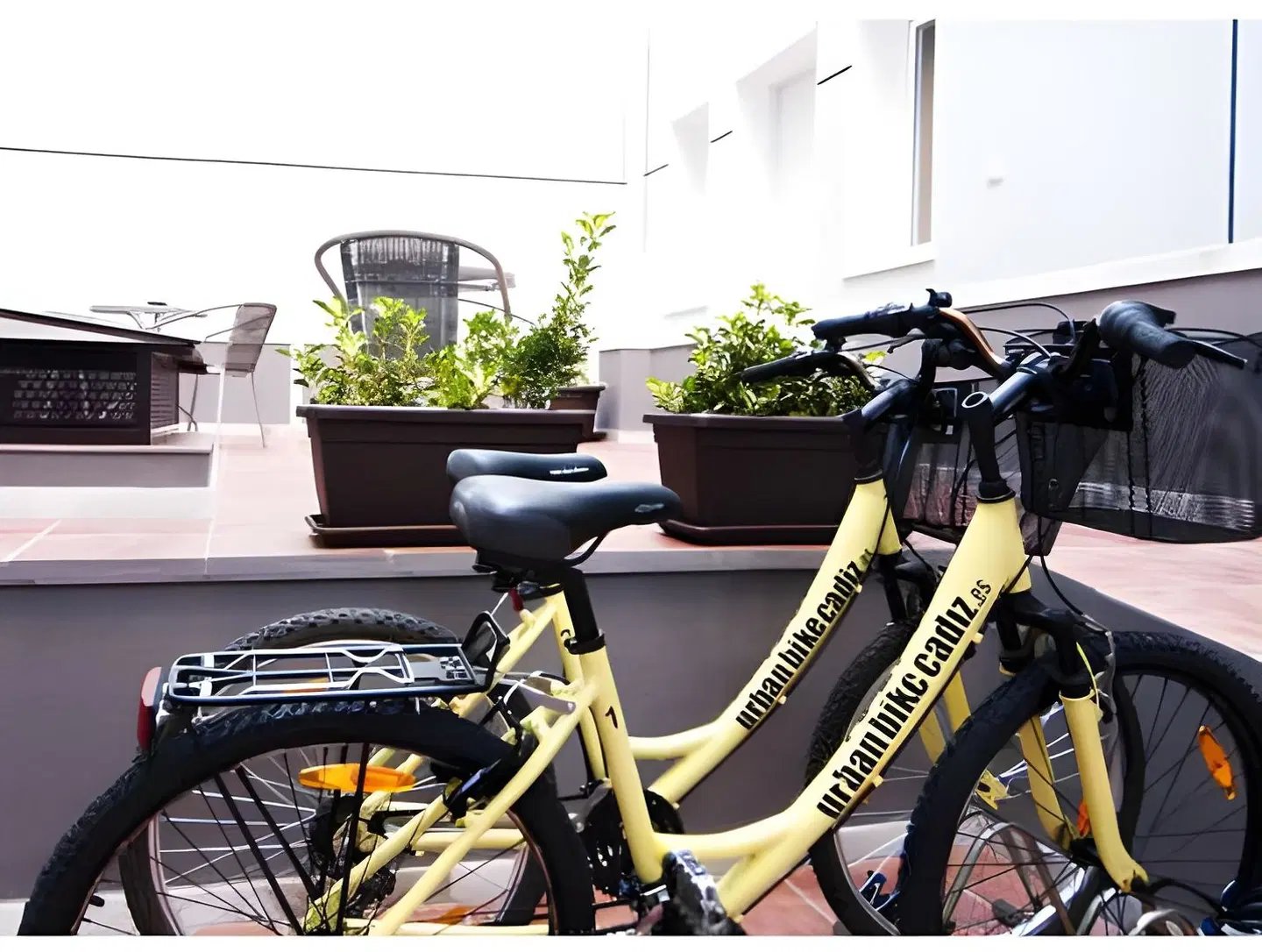 Apartamentos Plaza de la Luz Cádiz SPORTS_AND_LEISURE