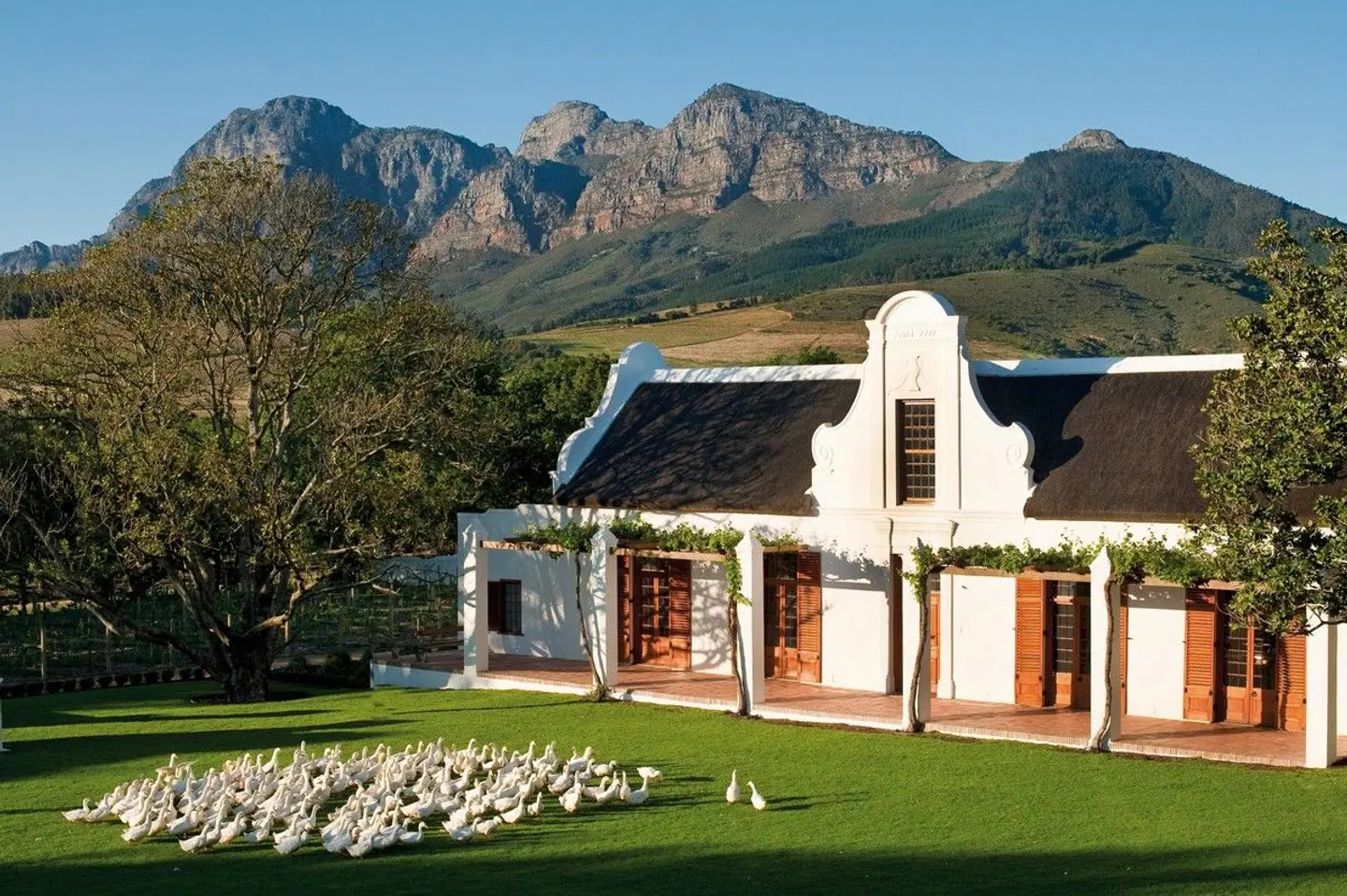 Babylonstoren EXTERIOR