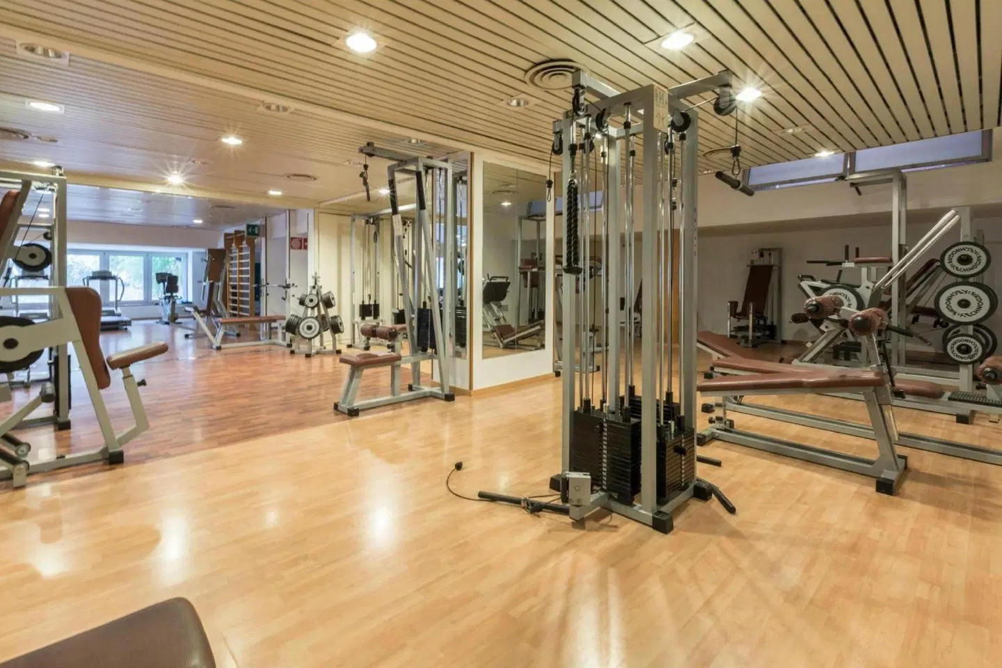 Majesty Bari SPORTS_AND_LEISURE