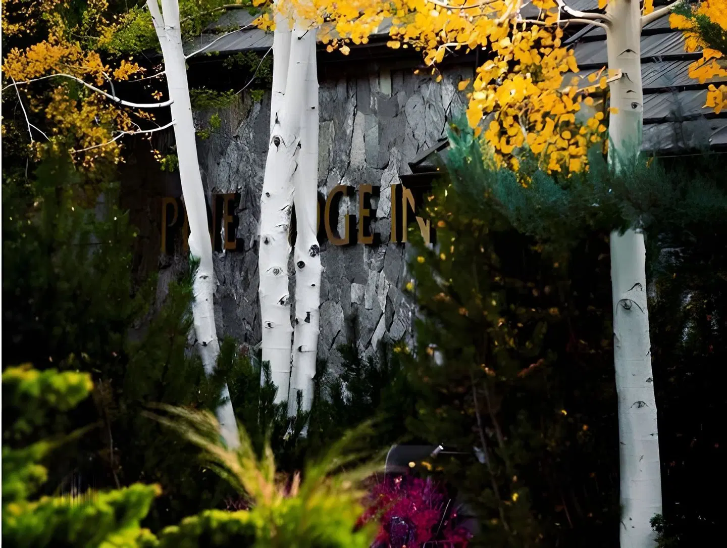 Pine Ridge Inn EXTERIOR