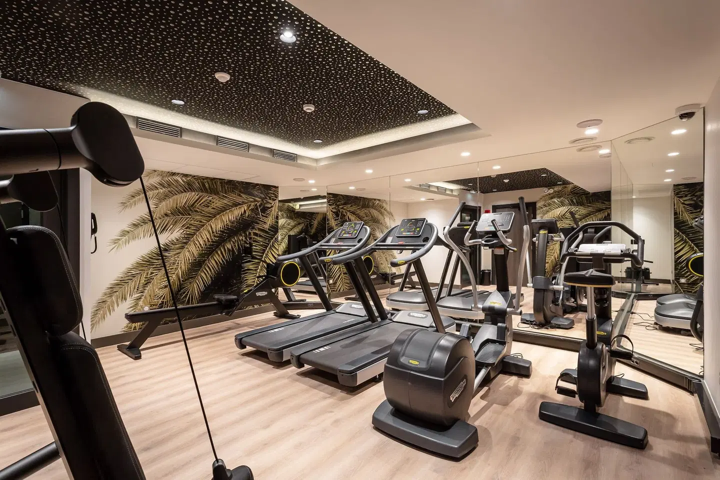 voco Strasbourg Centre - The Garden by IHG SPORTS_AND_LEISURE