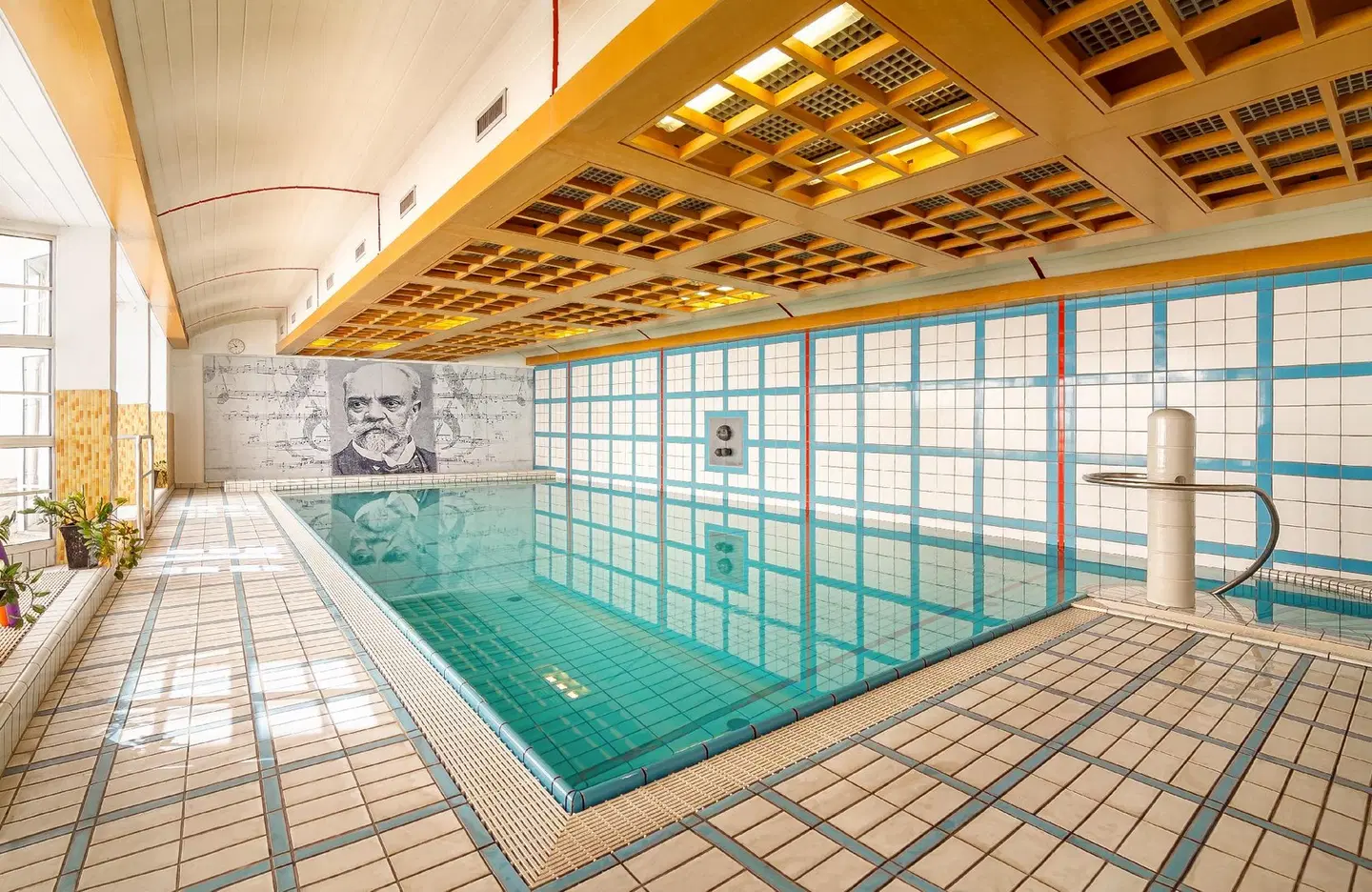 Dvorak Spa & Wellness Hallenbad