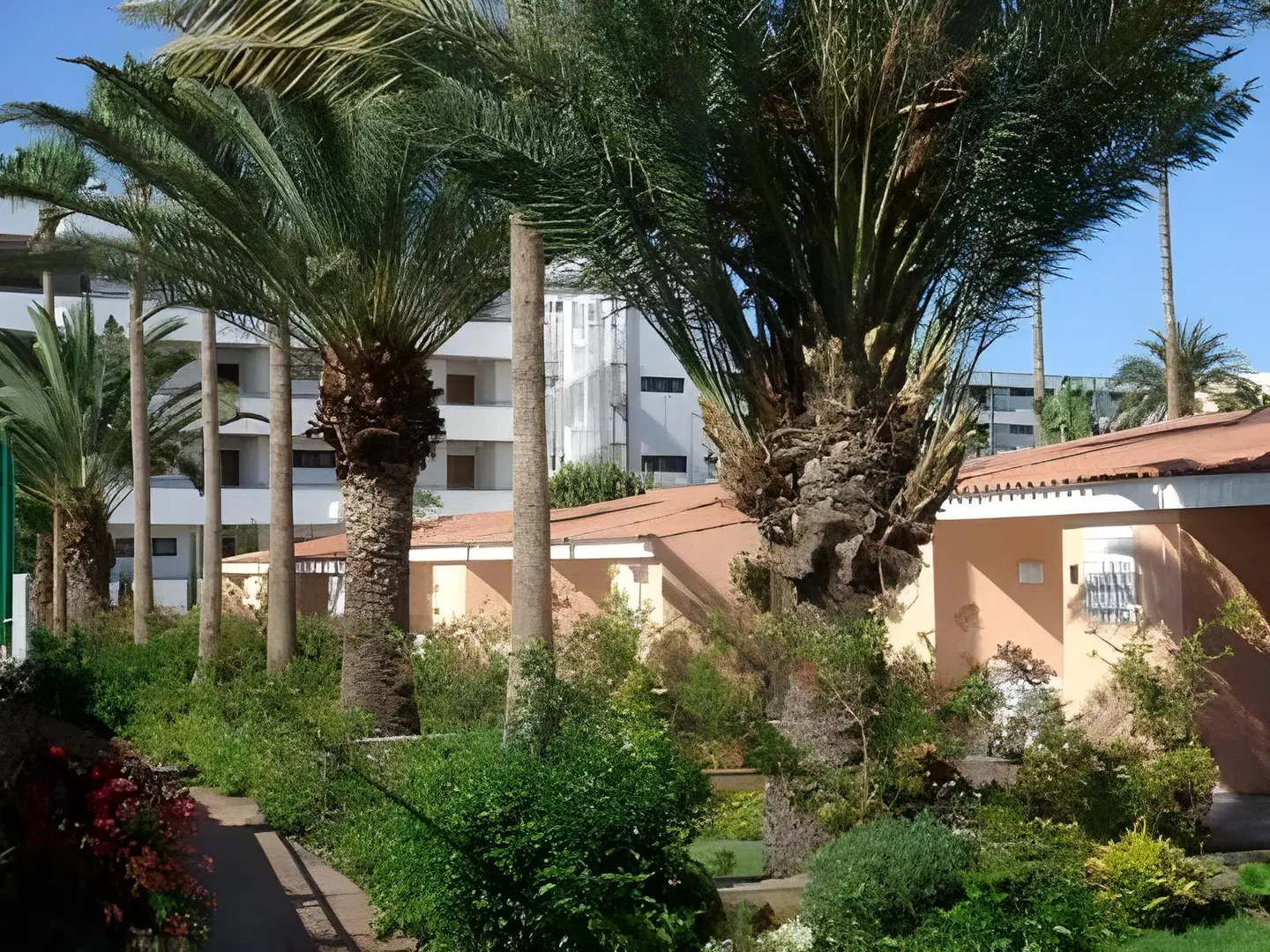 Relaxia Los Girasoles Bungalows EXTERIOR
