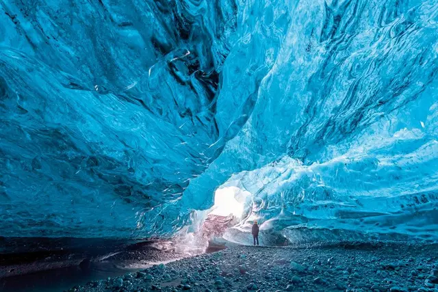 Erlebnis Island - Gletscher, Eishöhlen und Polarlichter Tiere