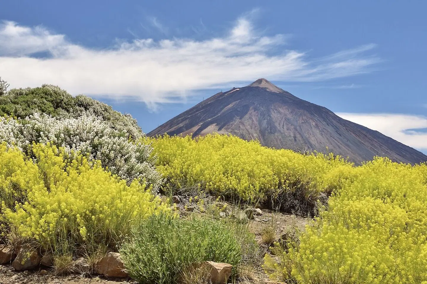 Teneriffas Highlights erwandern LANDSCAPE