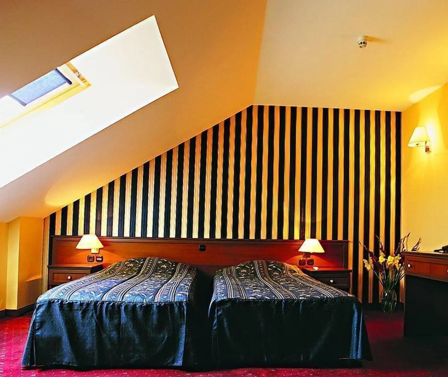 Lion ROOM_EXAMPLE
