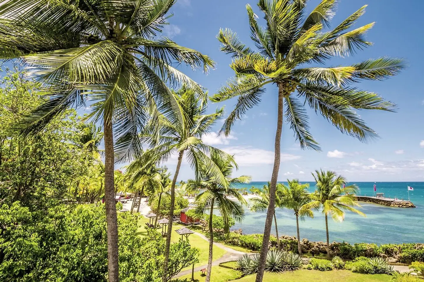 La Créole Beach Hôtel & Spa Garten