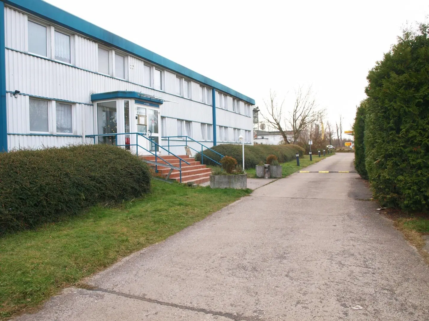 Stern Garten