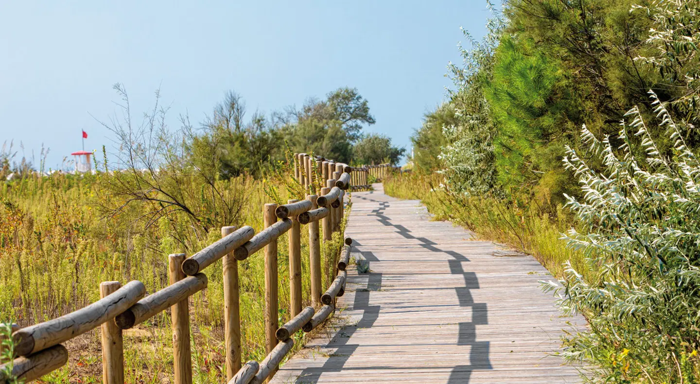 Jesolo Family Resort LANDSCAPE