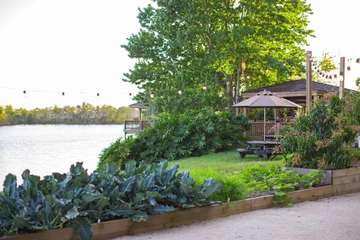 Marriott Orlando Airport Lakeside Garten