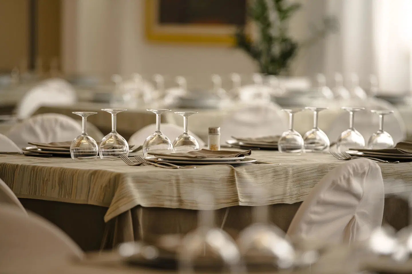 Califfo Restaurant