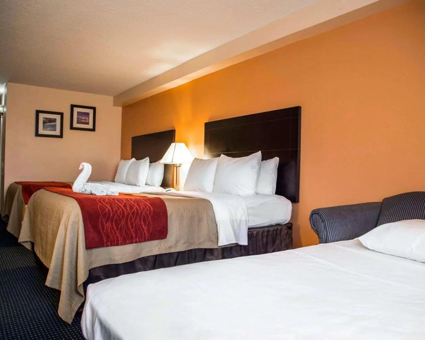 Comfort Inn International ROOM_EXAMPLE