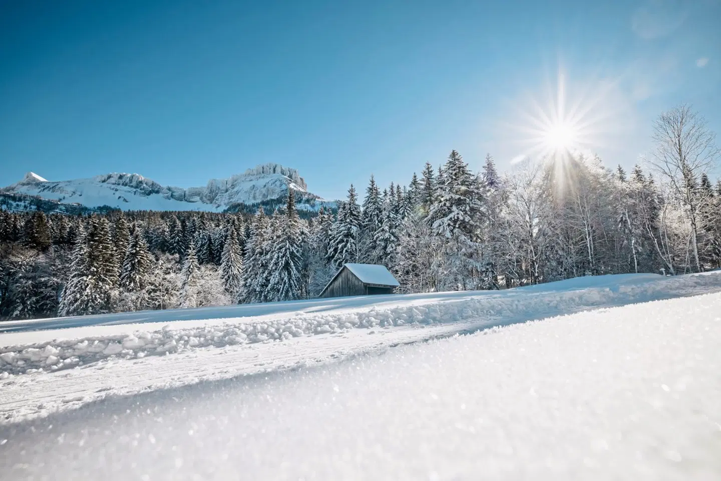Berghof Tauplitzalm Strand