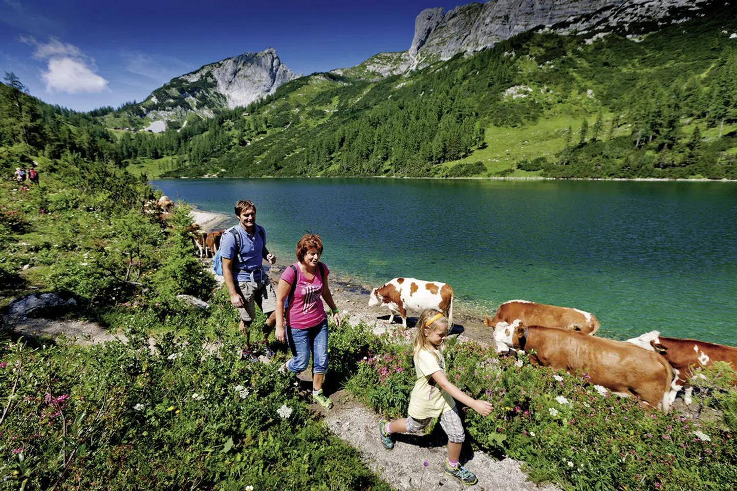 Berghof Tauplitzalm LANDSCAPE