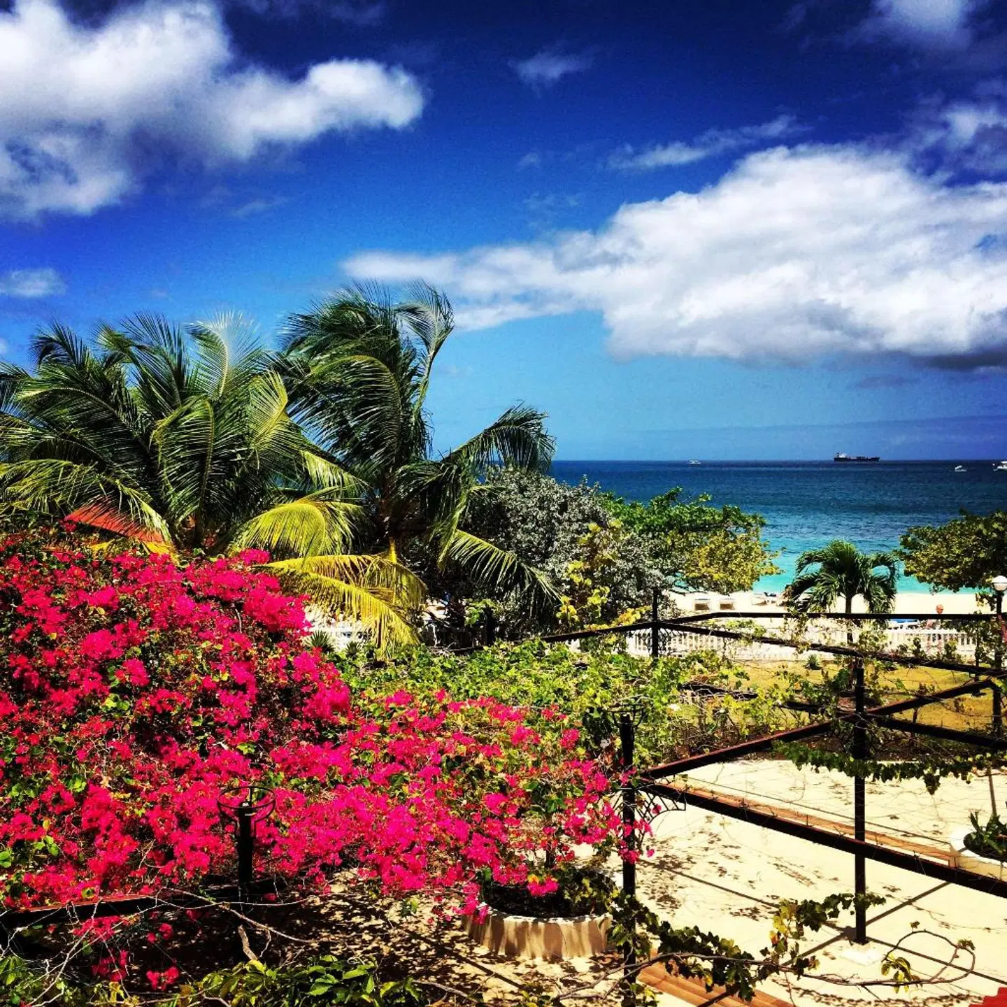 Radisson Grenada Beach Resort Garten