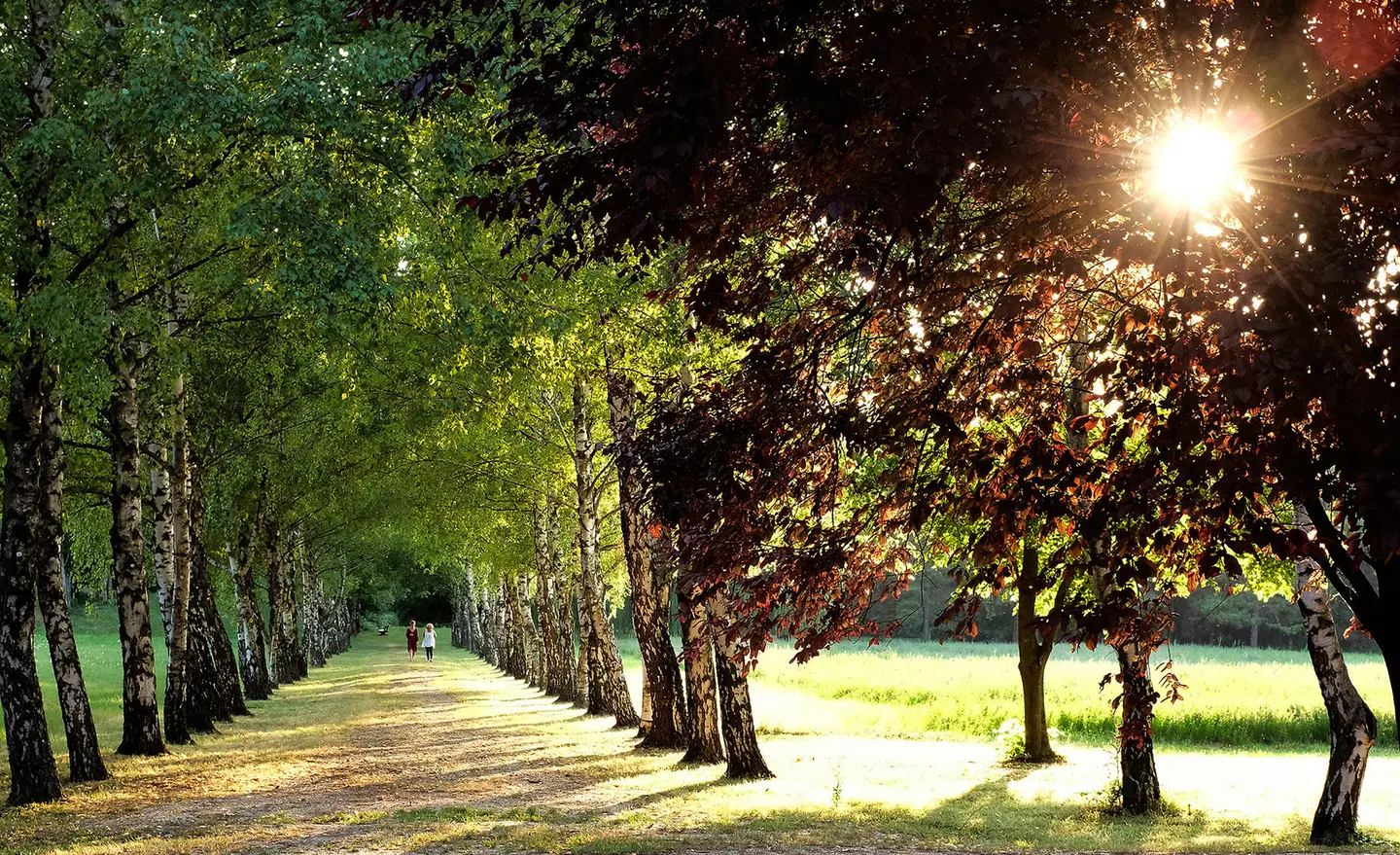 Kurhaus Marienkron Garten
