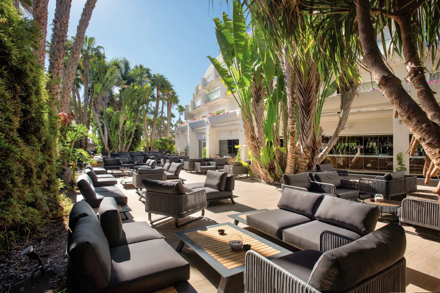 Tabaiba Princess Terrasse