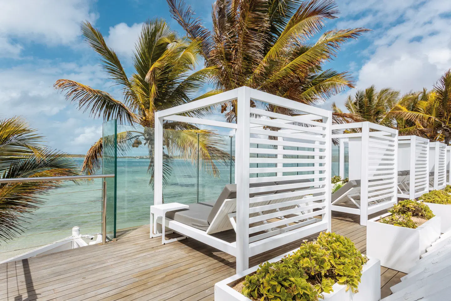 Tropical Attitude HEALTH_BEAUTY