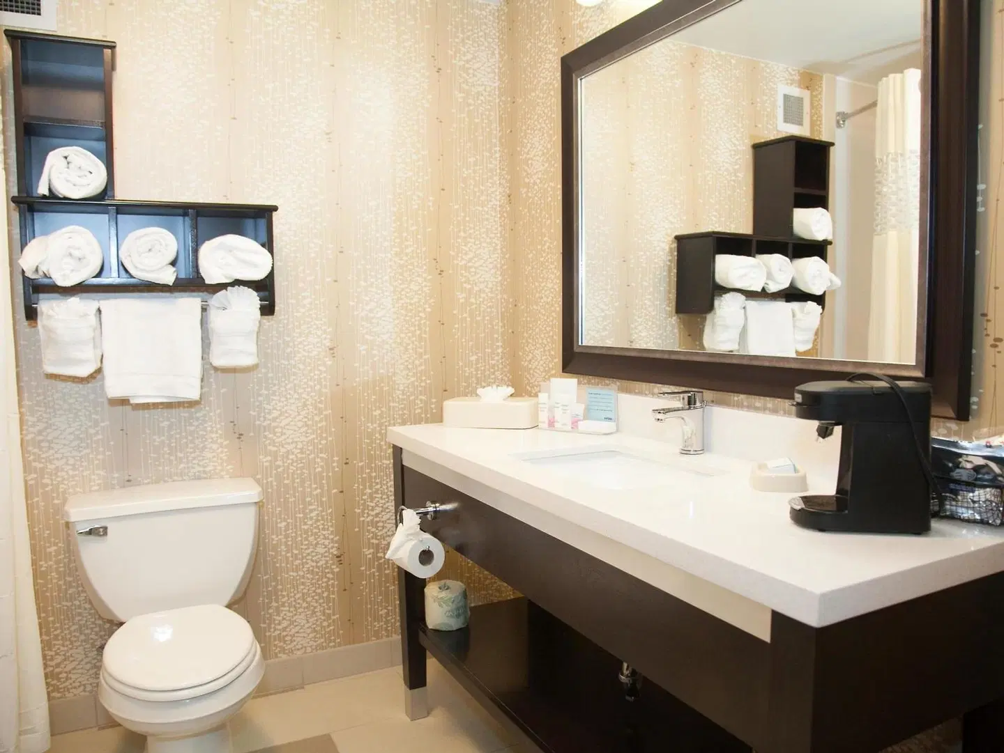 Hampton Inn & Suites Alpharetta Badezimmer
