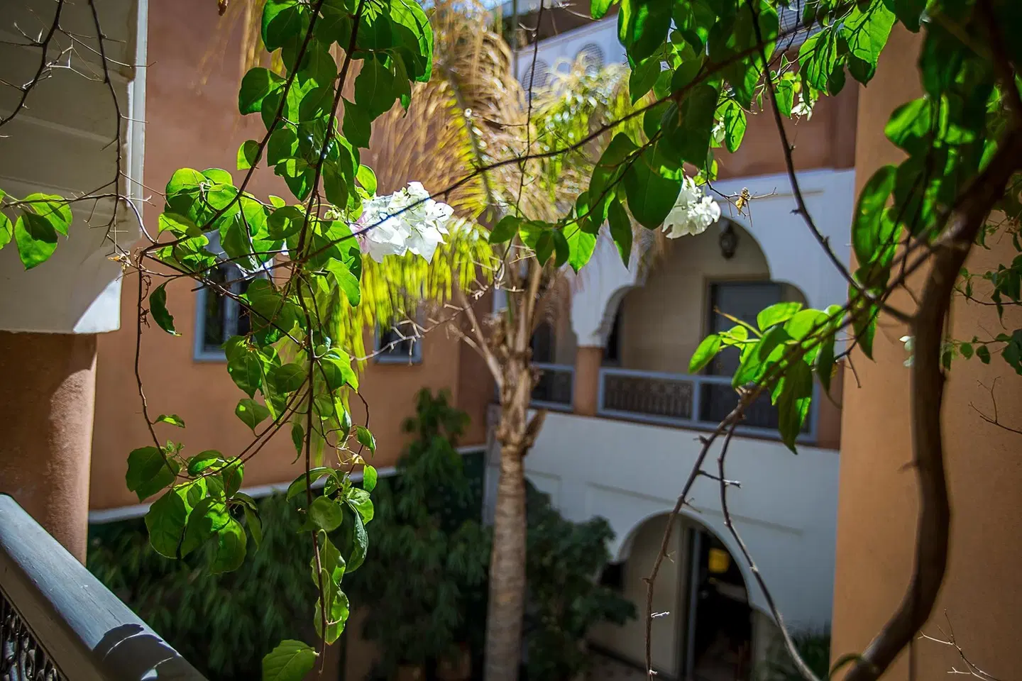 Ksar Anika EXTERIOR