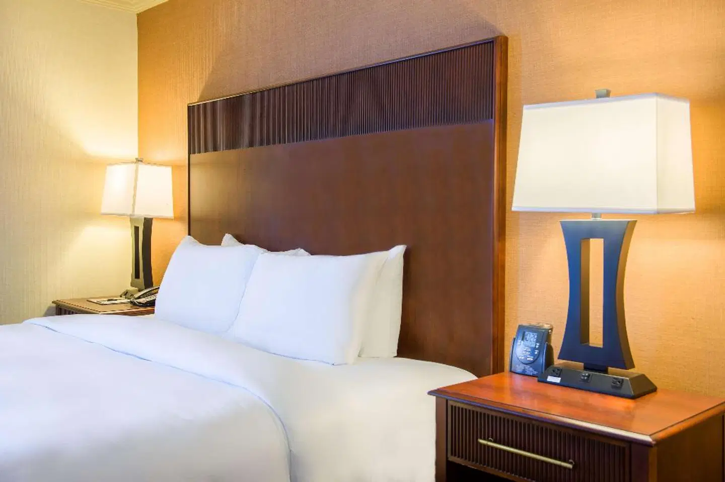 DoubleTree by Hilton Philadelphia Airport ROOM_EXAMPLE