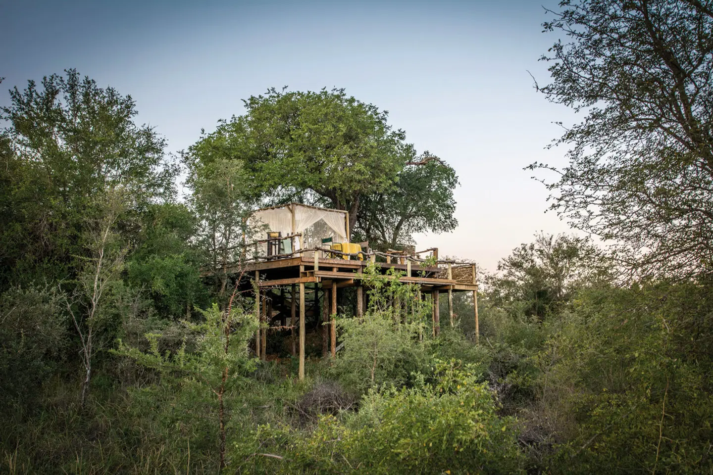 Garonga Safari Camp Garten