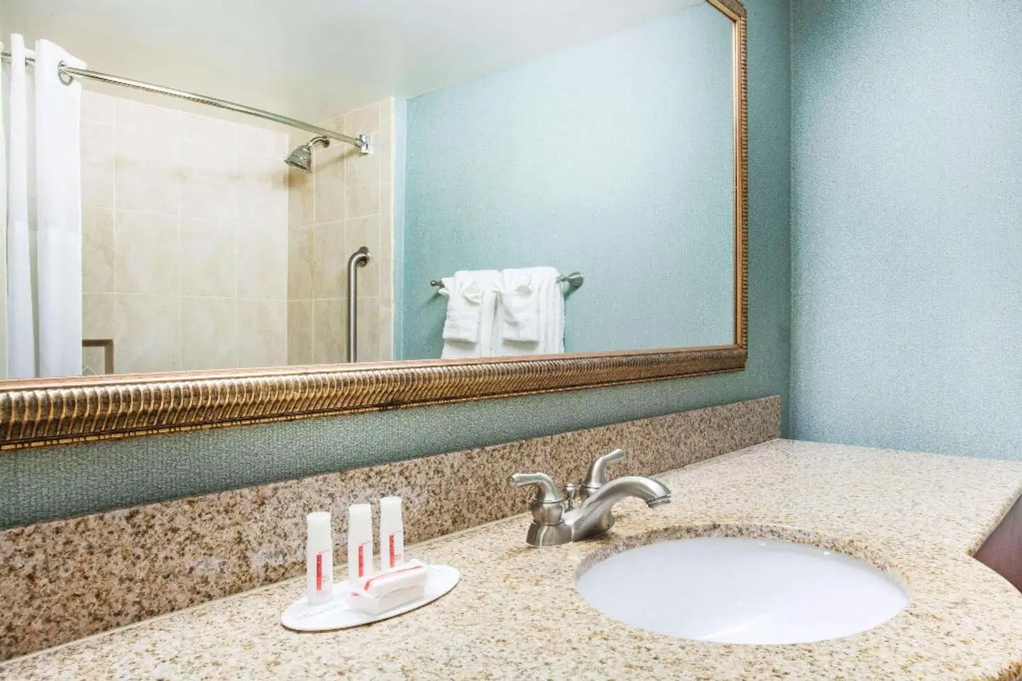 Ramada Jacksonville/Baymeadows Hotel & Conference Center Badezimmer