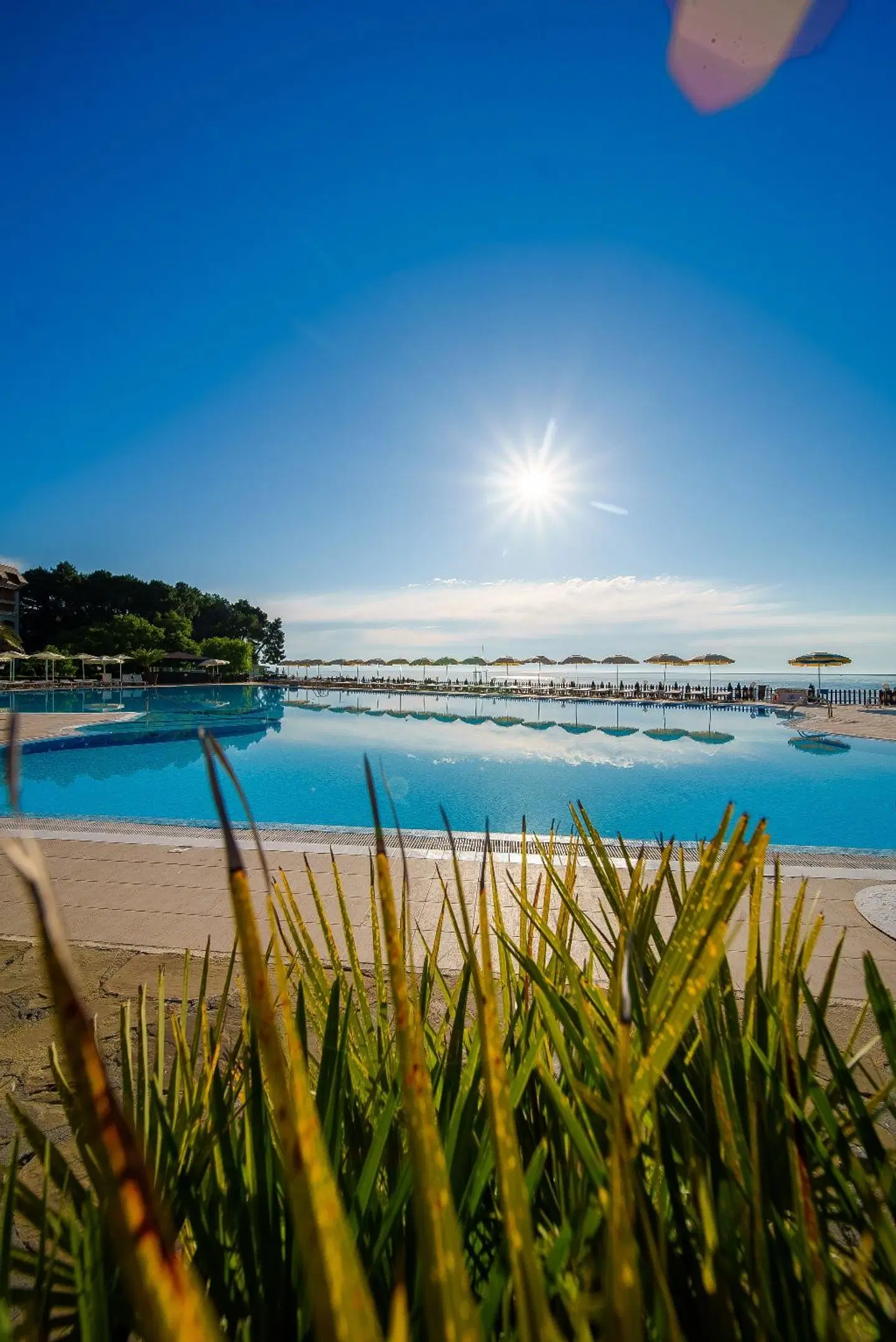HVD Lotos OUTDOOR_POOL
