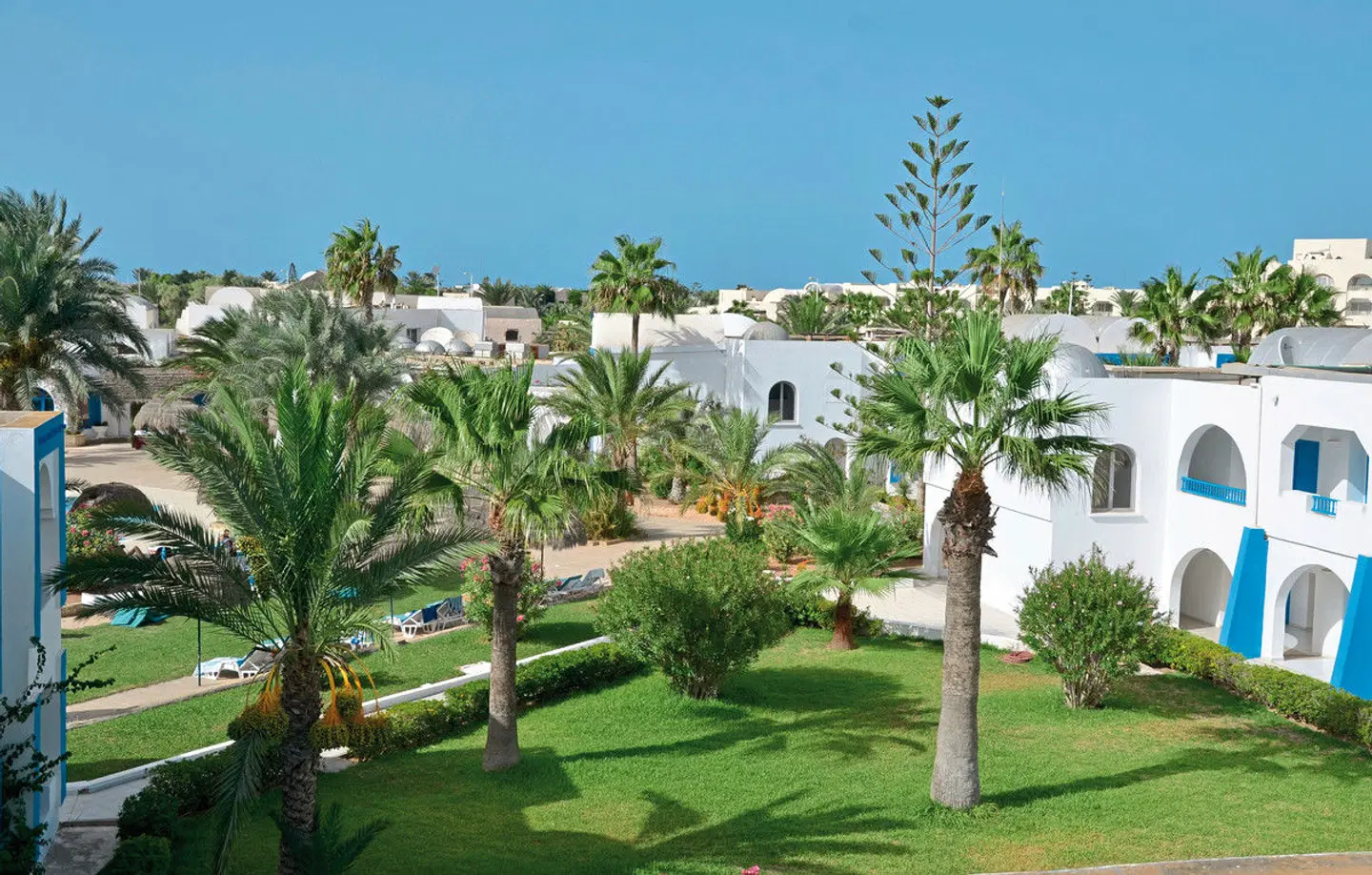 Cedriana EXTERIOR