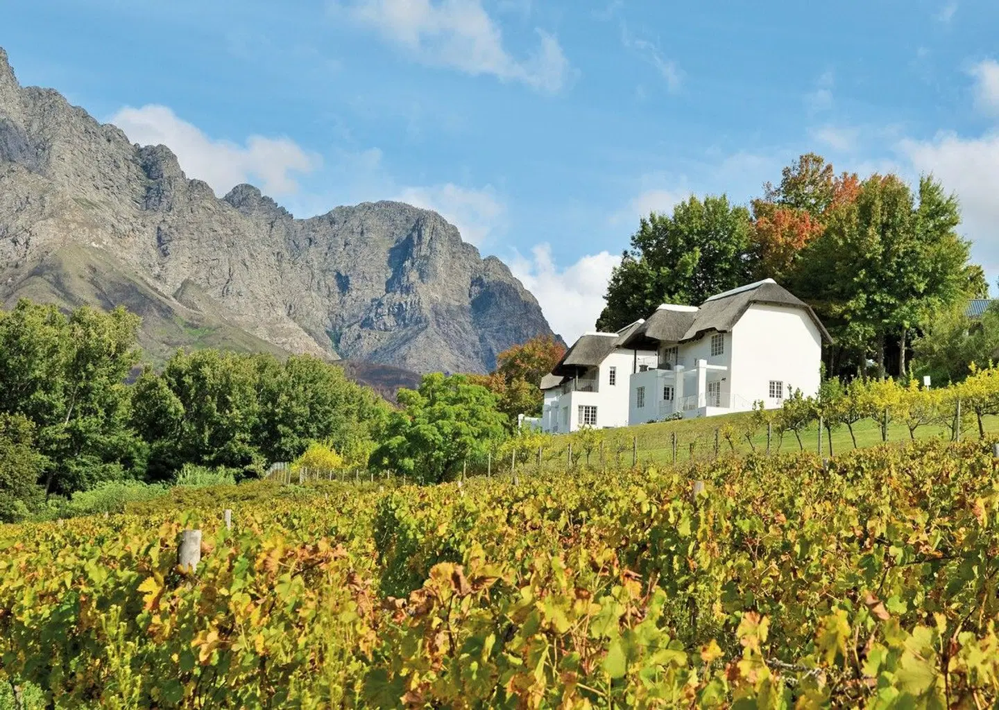 Le Franschhoek Hotel & Spa LANDSCAPE