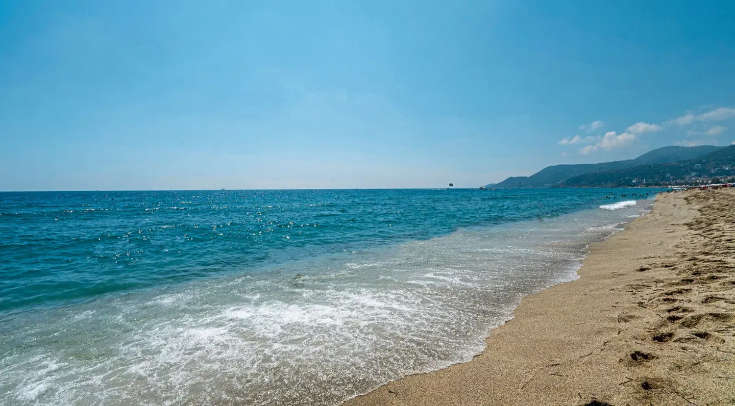 Gardenia Strand