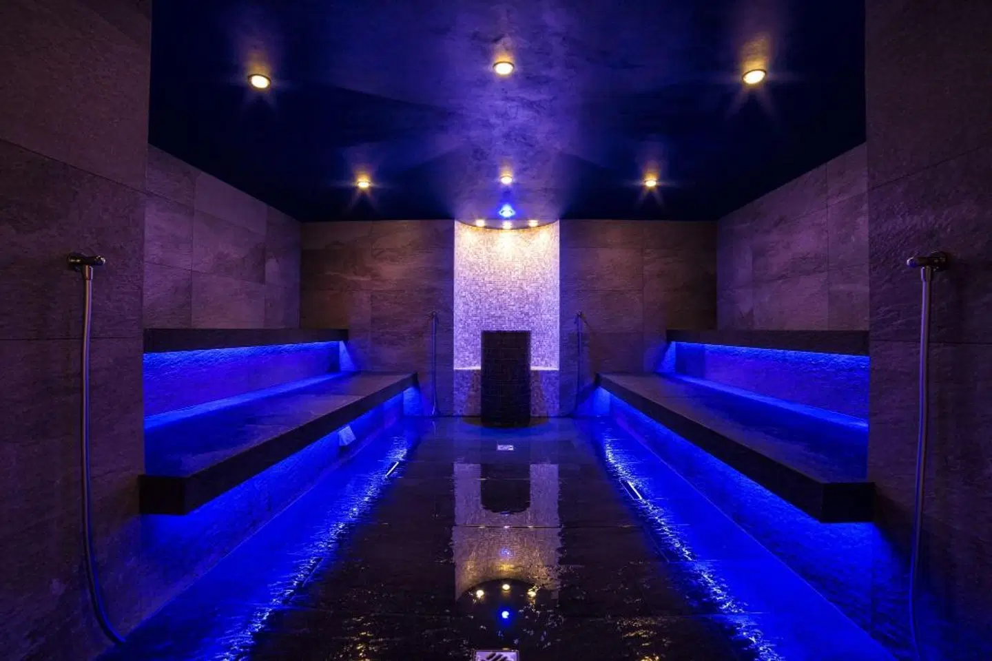 Hotel Ideal Park LOUNGE_LOBBY
