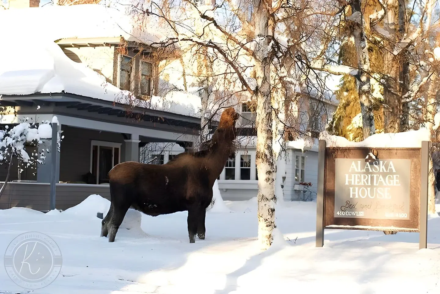 Alaska Heritage House B&B Tiere