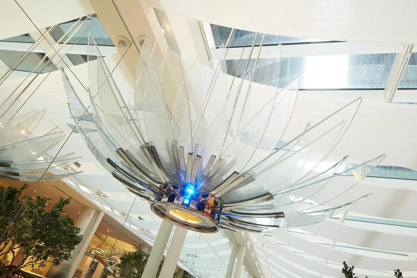 Hotel Indigo Atlanta Downtown by IHG LANDSCAPE
