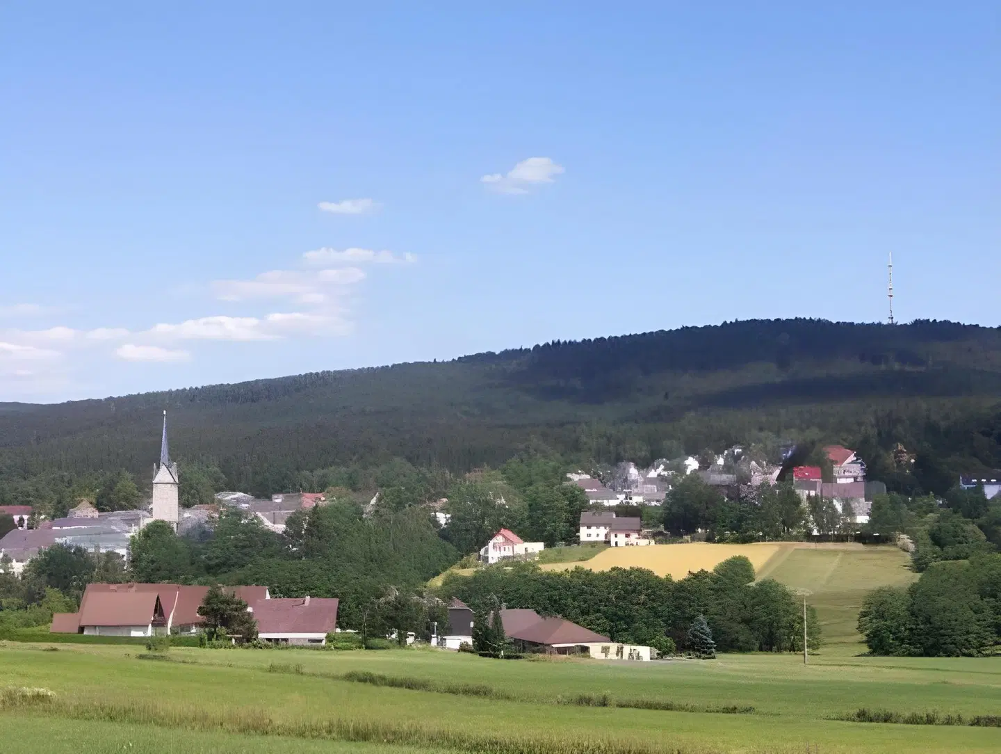 Zum Waldstein LANDSCAPE