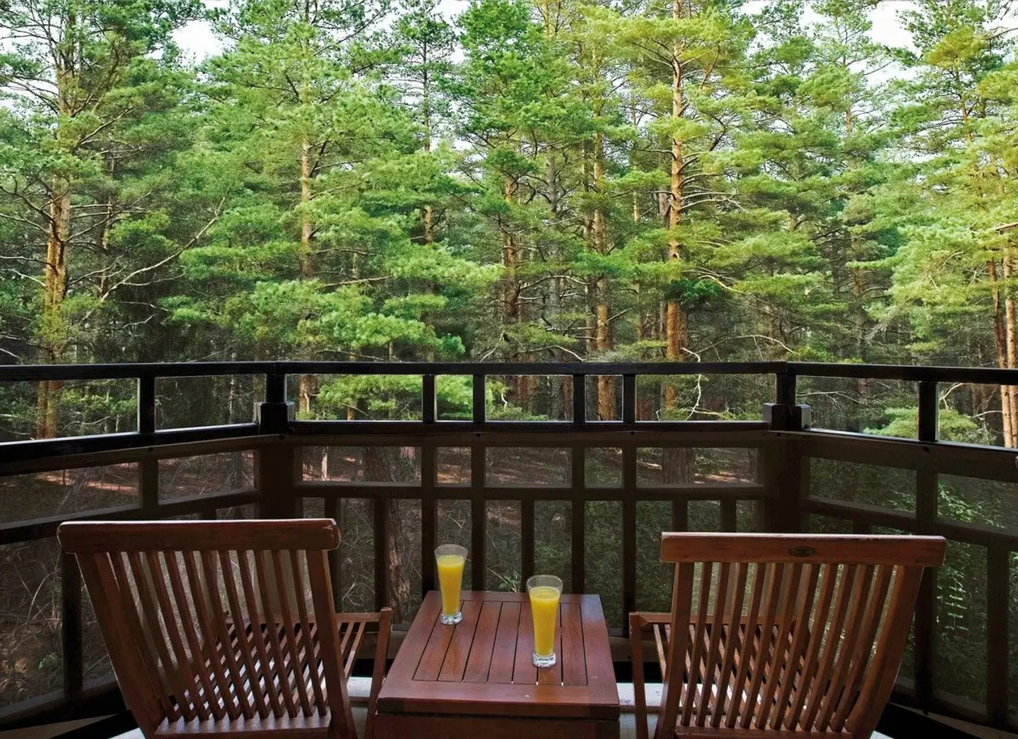 Asteria Family Resort Belek Terrasse