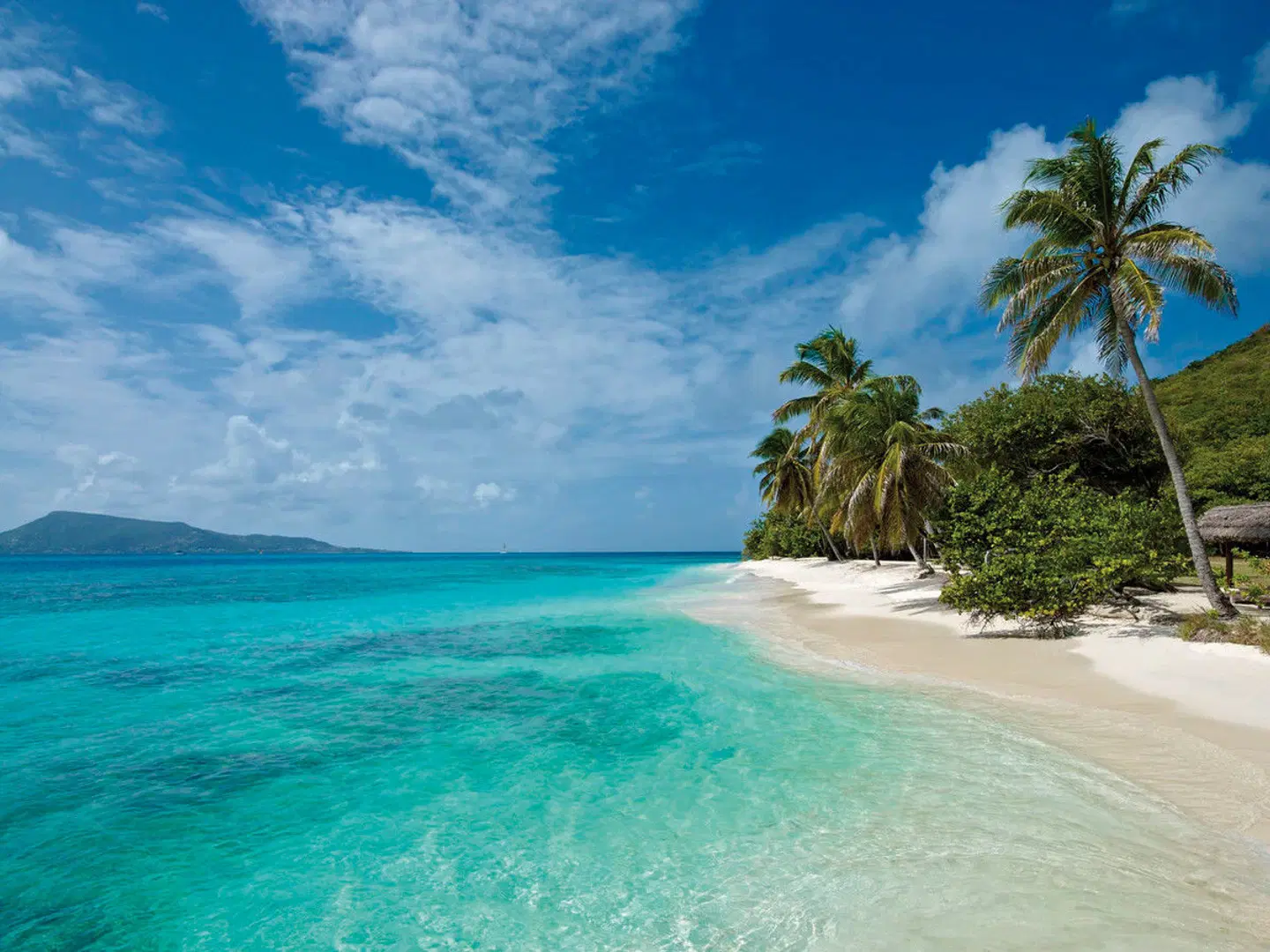 Petit St. Vincent LANDSCAPE
