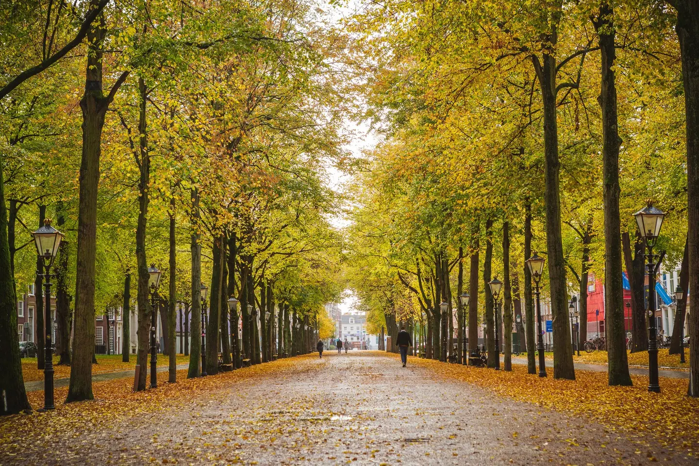 voco The Hague by IHG LANDSCAPE