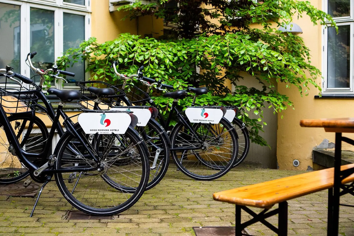 Good Morning City Copenhagen Star Terrasse