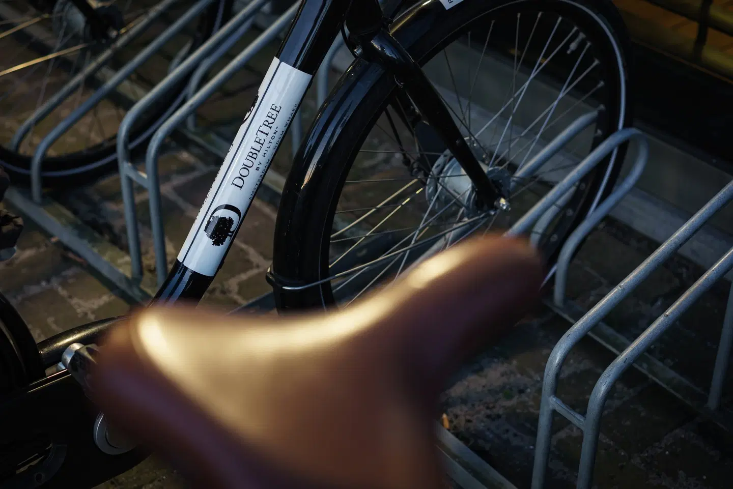 DoubleTree by Hilton Hotel Amsterdam - NDSM Wharf SPORTS_AND_LEISURE